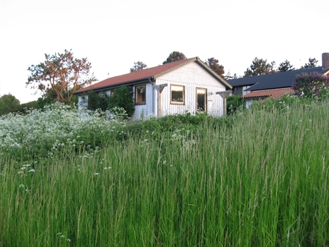 Ferienhaus: 1483