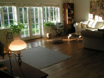 Ferienhaus 563