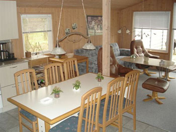 Ferienhaus 588