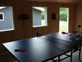 Ferienhaus 588