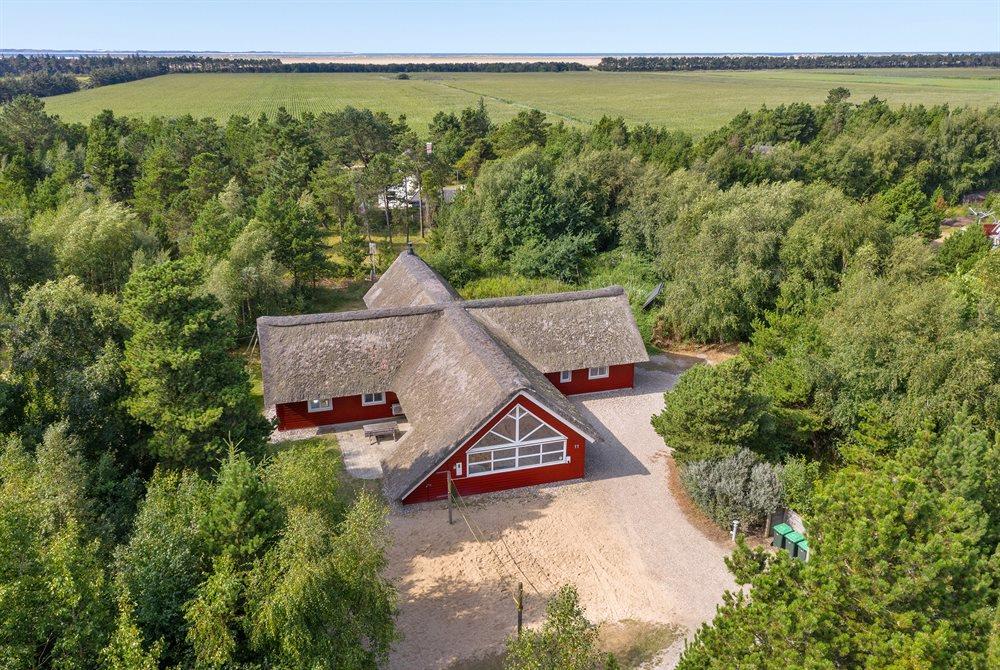 Ferienhaus in Römö, Sydöen für 20 Personen