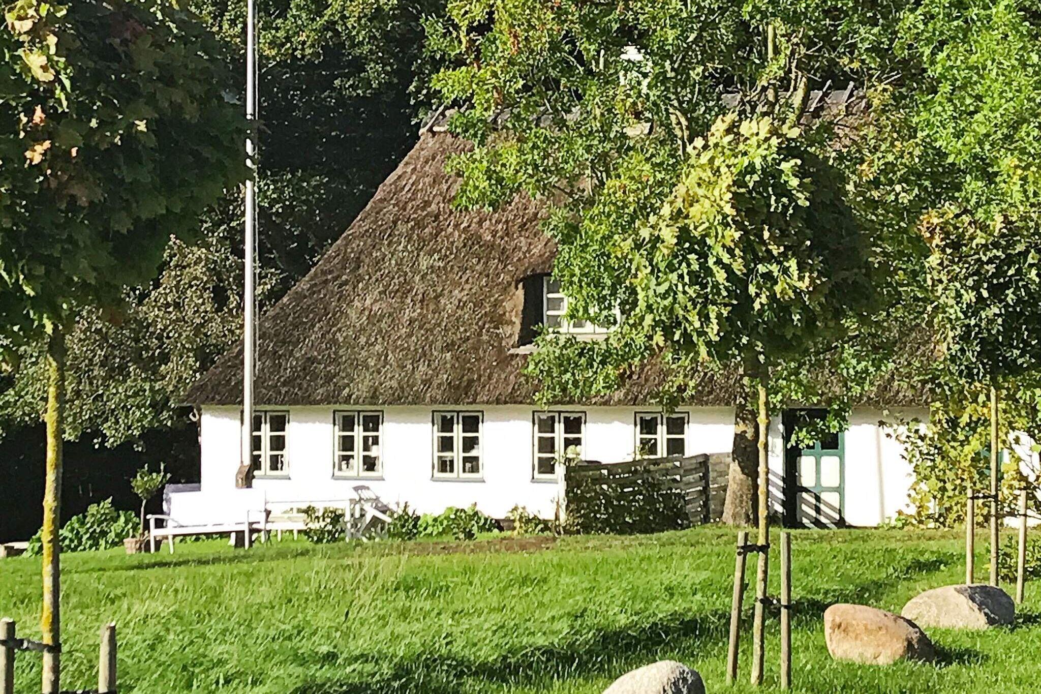 Ferienhaus in Augustenborg für 6 Personen
