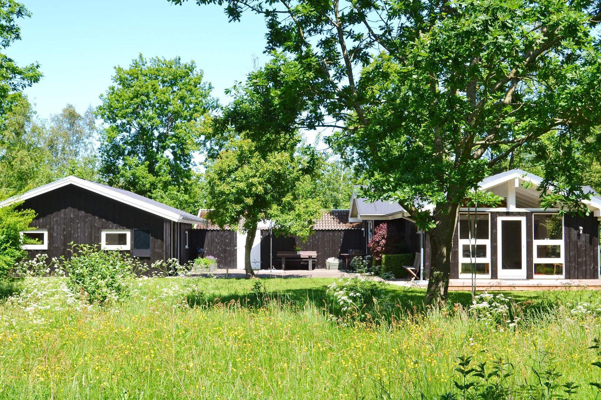Ferienhaus in Bindslev für 6 Personen