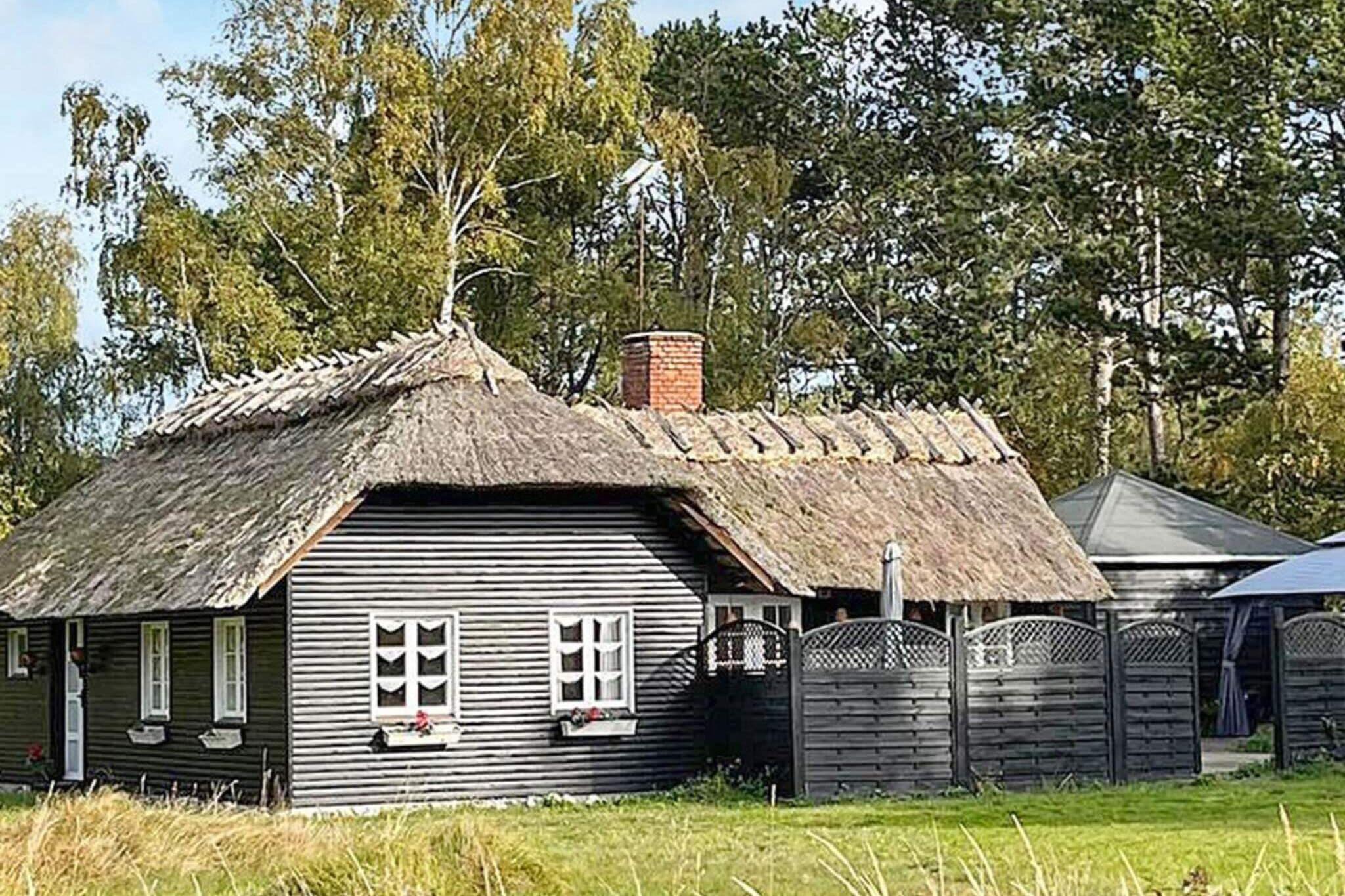 Ferienhaus in Rödby für 4 Personen