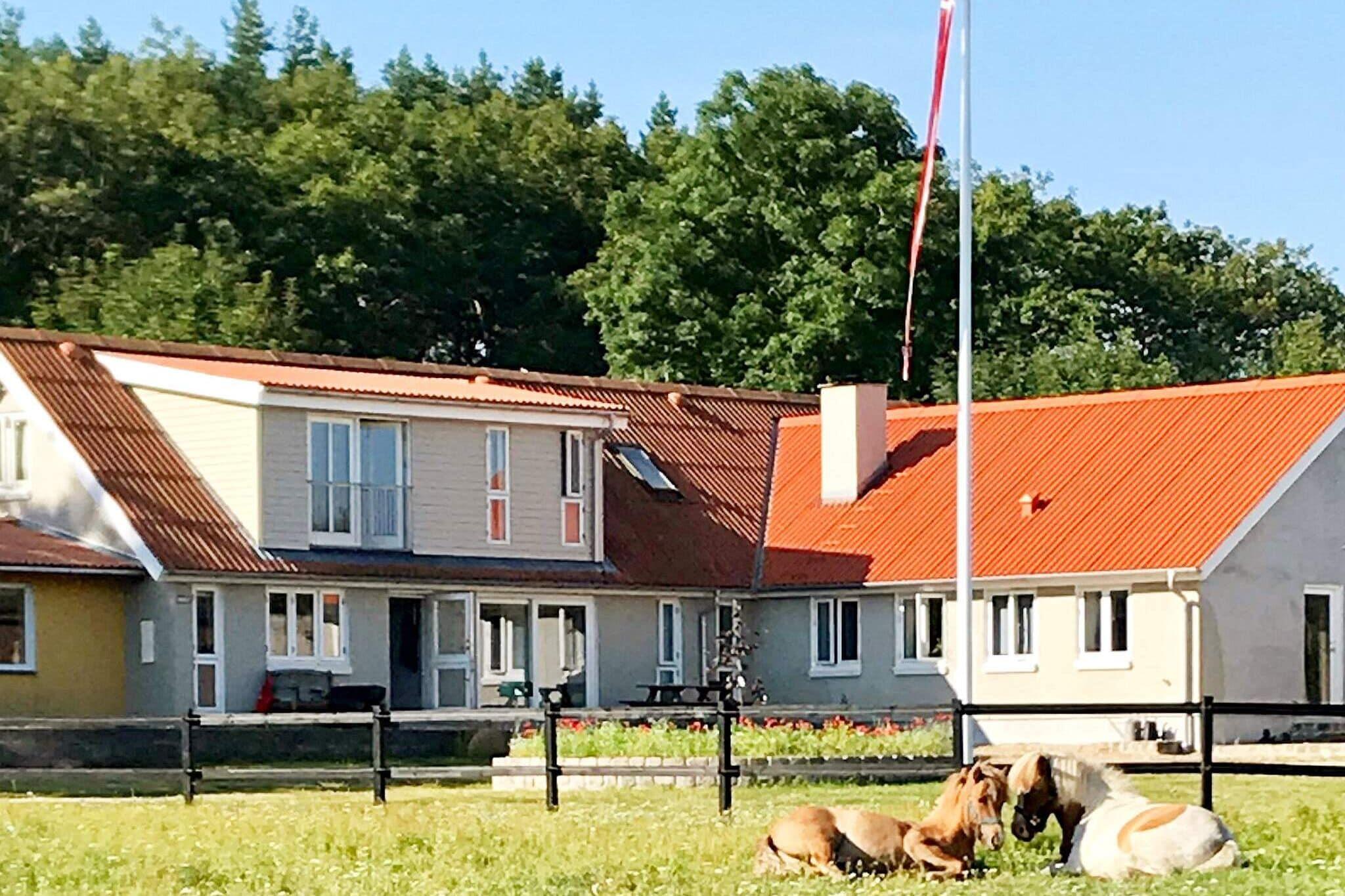 Ferienhaus in Frederikshavn für 4 Personen