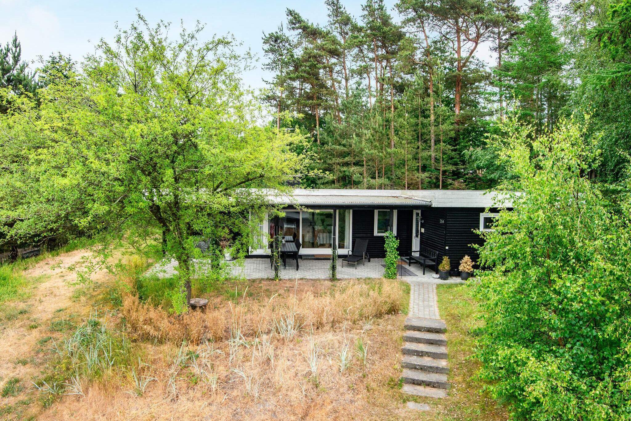 Ferienhaus in Ebeltoft für 6 Personen
